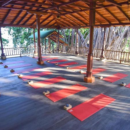 Amaru Wellbeing Resort 奇南德加 外观 照片