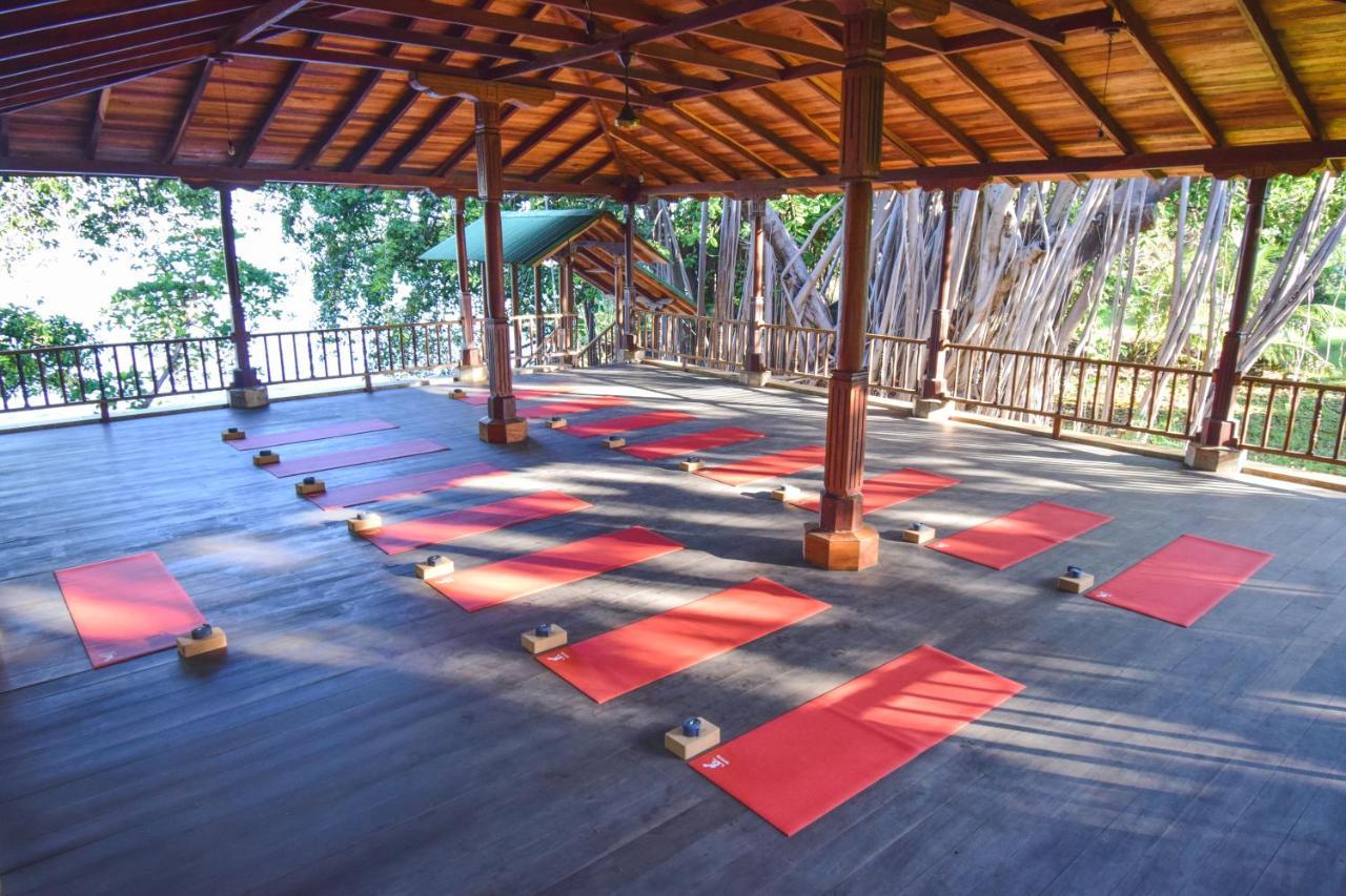 Amaru Wellbeing Resort 奇南德加 外观 照片